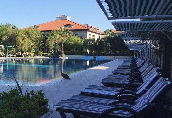 Отель Sural Resort 5 Турция, Сиде — Отзывы 2023 [Полный обзор]