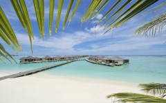 paradise-island-resort-spa