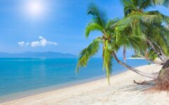 goa