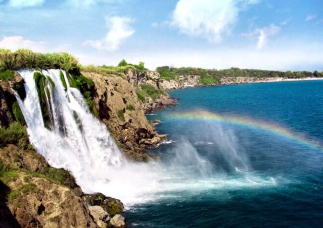turkey