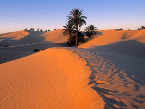 tunisia