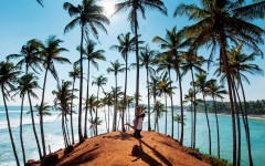 Холм кокосовых пальм (Достопримечательности Мириссы, Шри-Ланка)