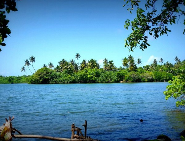 Озеро Коггала (Коггала, Шри-Ланка: достопримечательности)
