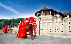 Sehenswürdigkeiten in Kandy, Sri Lanka Tempel des Zahnbuddhas