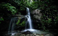 Национальный парк Армандо Бермудез (Харабакоа, Доминикана: Достопримечательности)