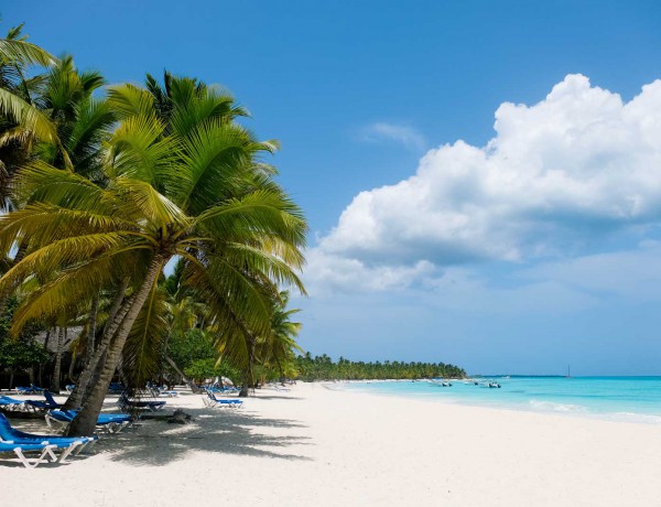 Saona Island (La Romana, Dominican Republic: Resort Attractions)