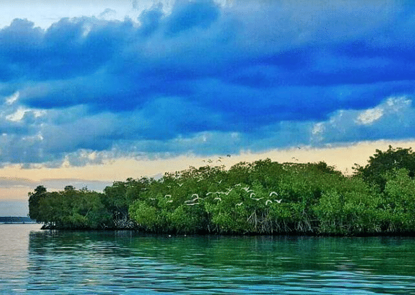 La Matica Island (Boca Chica, Dominican Republic: Sightseeing)