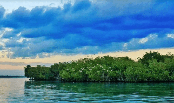 La Matica Island (Boca Chica, Dominican Republic: Sightseeing)