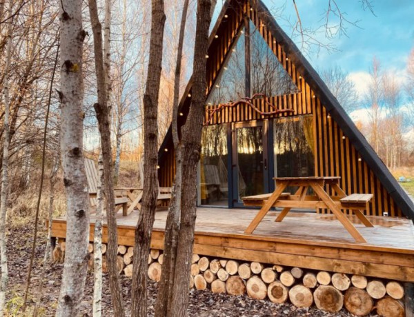 Афрейм дом снять в аренду в Подмосковье Треугольный уютный дом в сердце леса